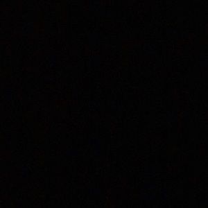 Meet your Posher, Pat